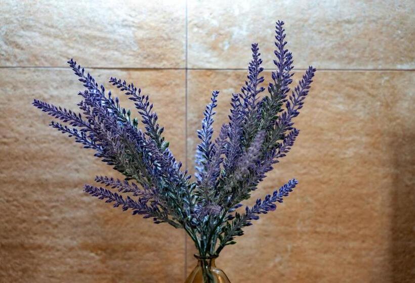 منتجع Complejo Valle Grande