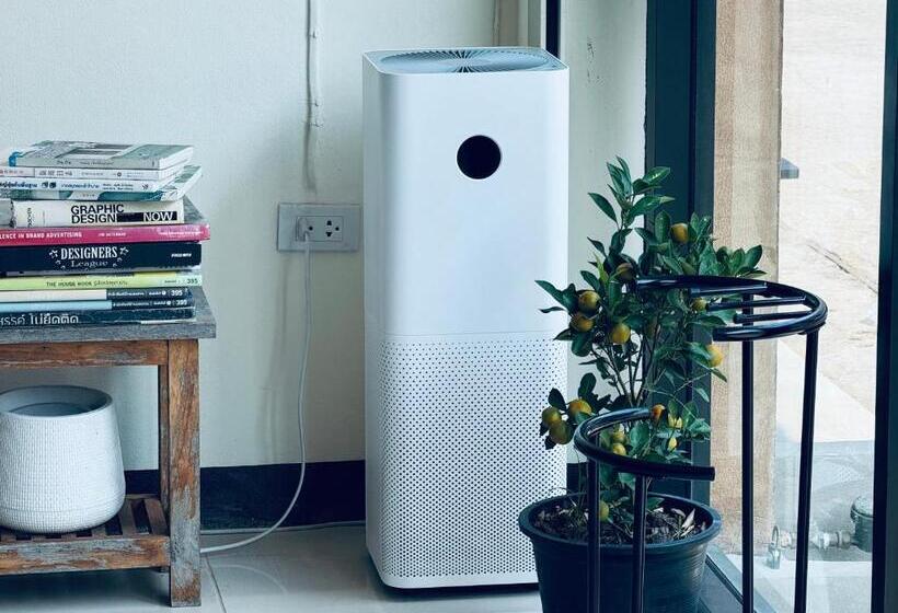 Timn Hostel Female Only