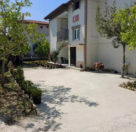 Hotelli Olive