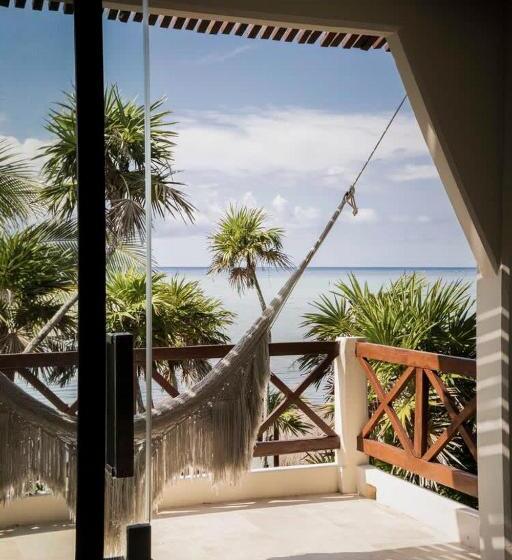 Jashita Hotel   Water Front Suites   Mexico