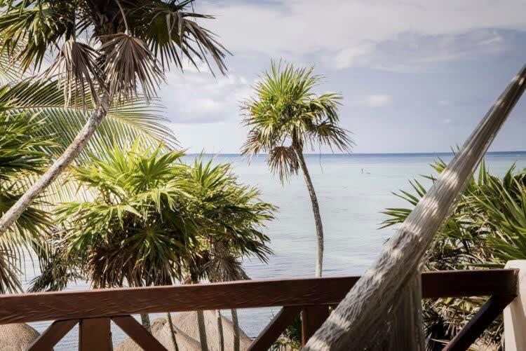 Jashita Hotel   Water Front Suites   Mexico