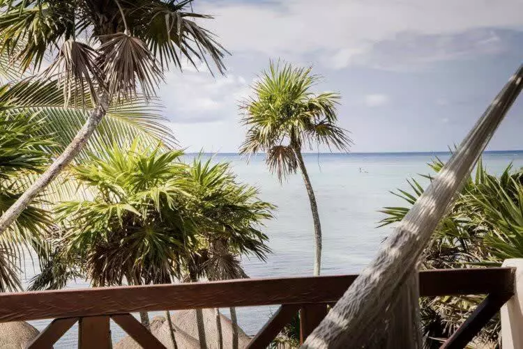 Jashita Hotel   Water Front Suites   Mexico
