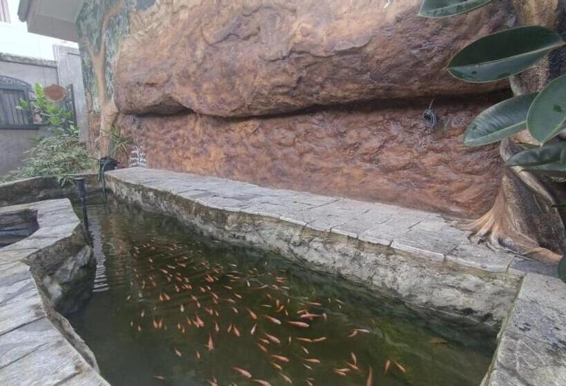 Dhee Ayurved Resort Hospital