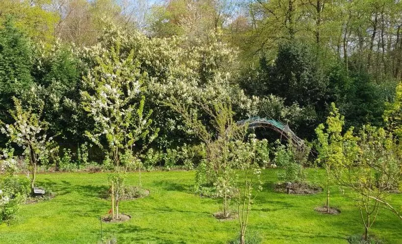 ベッドアンドブレックファースト Sleep And Dream