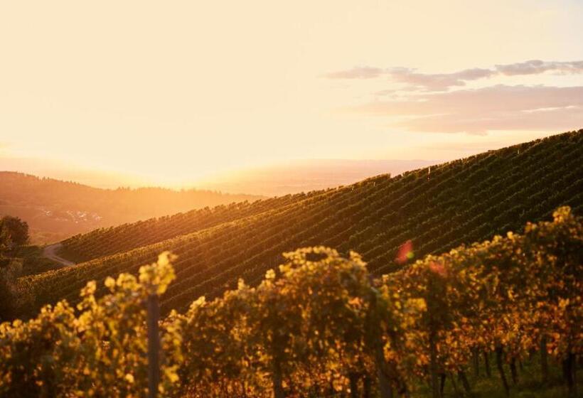 호텔 Haus Weitblick By Spinnerhof