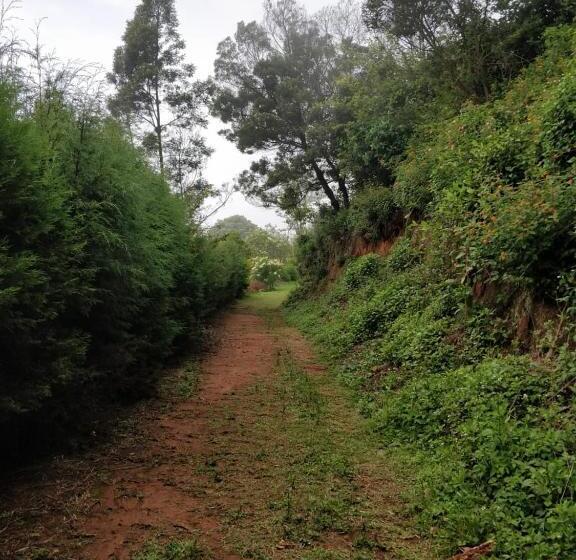 Hotel Himont Homestays,coonoor