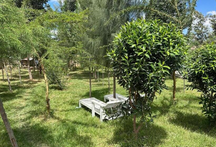 هتل Lakewood City Resort