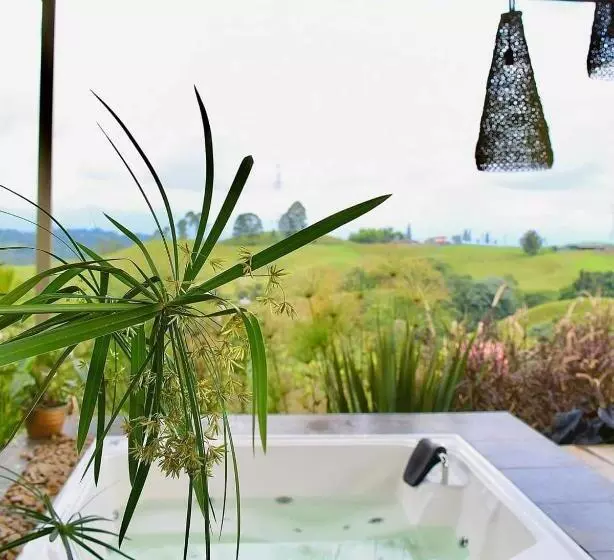 ホテル Nalu Hammam Thalassoterapia