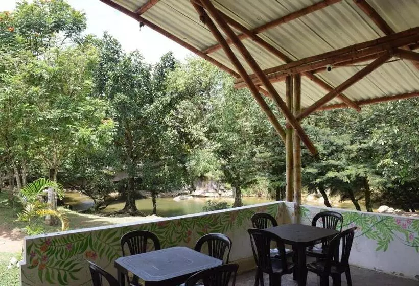 ホテル Rancho La Critalina