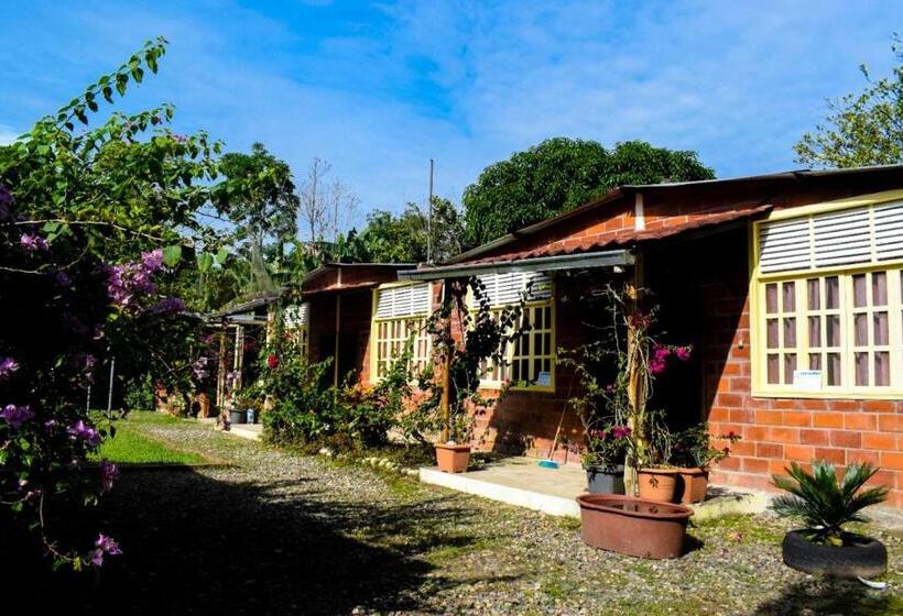 Pension Cabañas Horeb