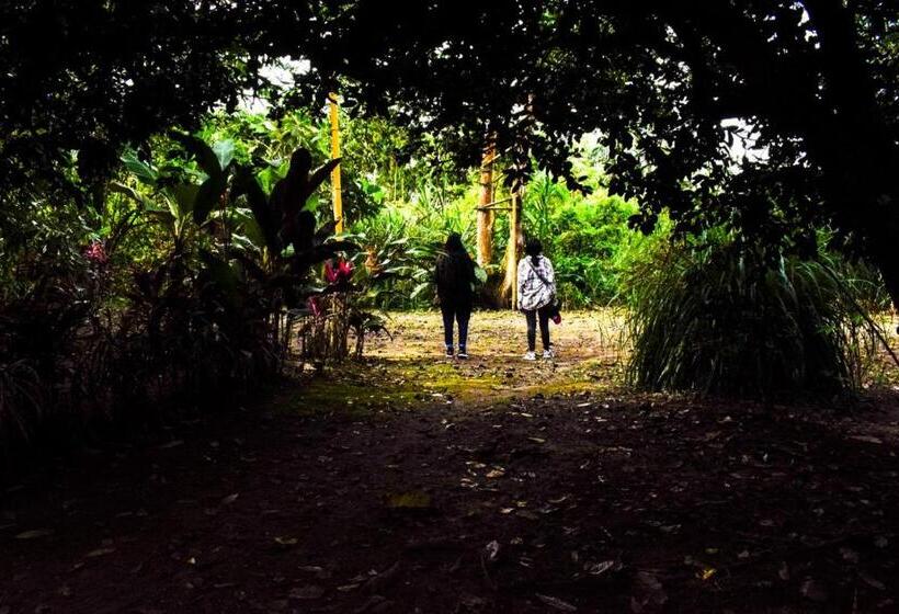 Pension Cabañas Horeb