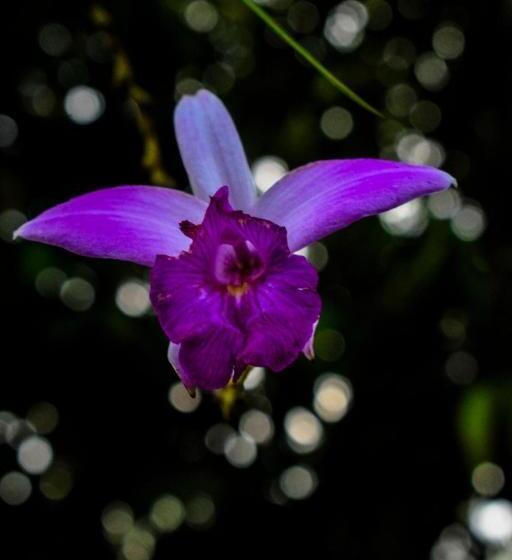 Pension Cabañas Horeb