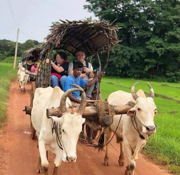 پانسیون Jo Jo Family Resort