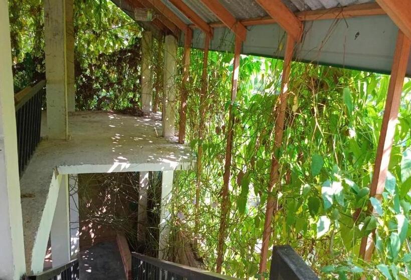 پانسیون Jo Jo Family Resort