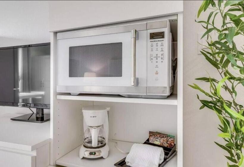 هتل King Bed Studio Free Shuttle