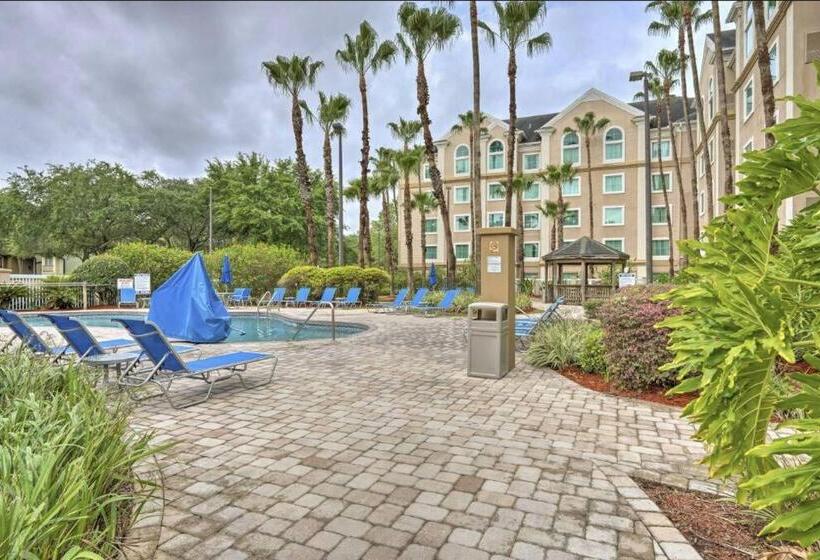 هتل King Bed Studio Free Shuttle