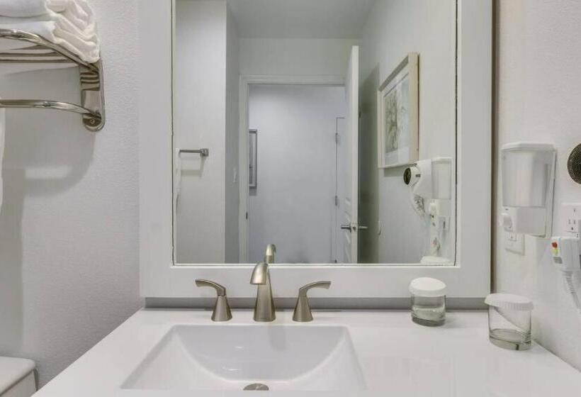 هتل King Bed Studio Free Shuttle