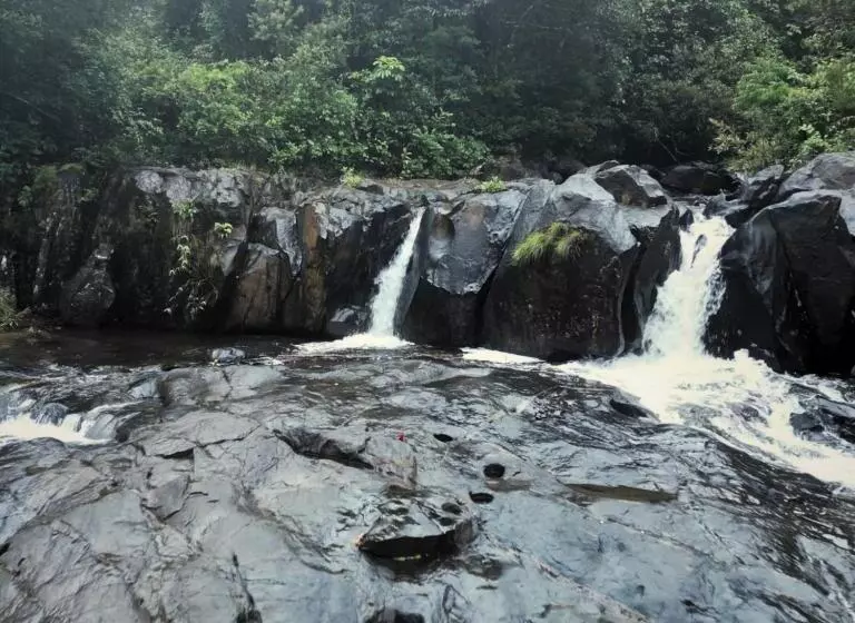 ホテル Sarvathra Cottages