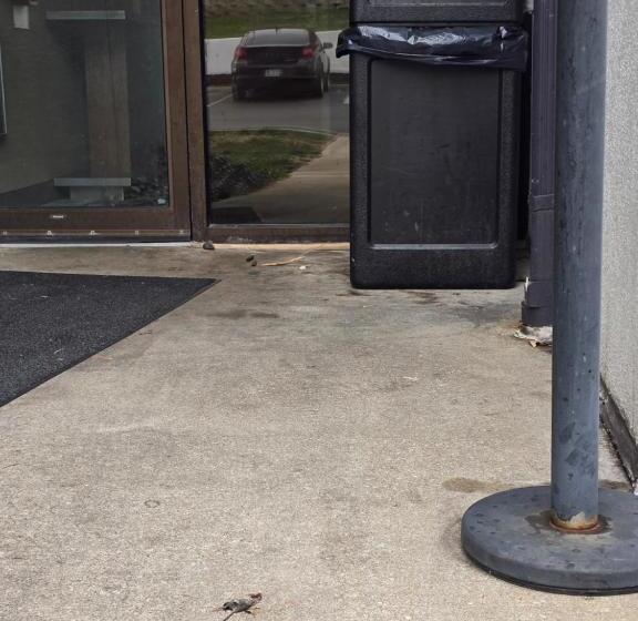 فندق Sonesta Select