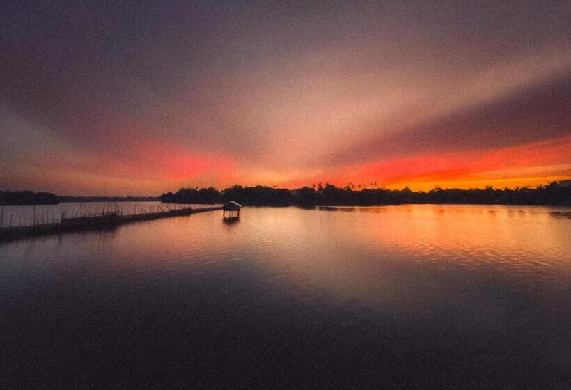 فندق Villa Camellia