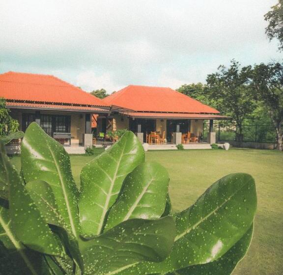 فندق Villa Camellia