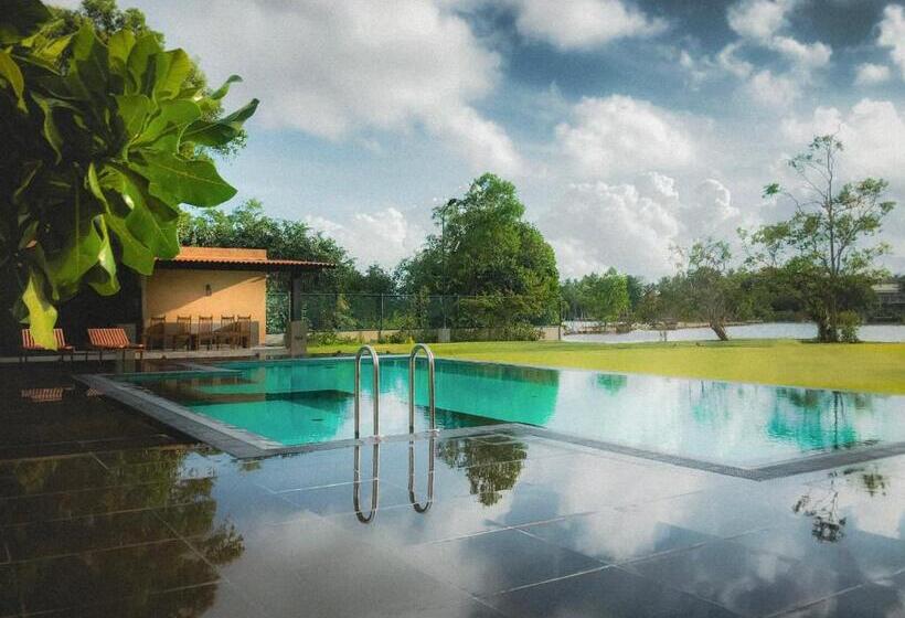 فندق Villa Camellia