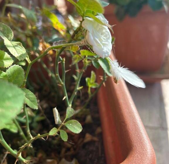 Seaside Apartment Near Villa Caravaggio