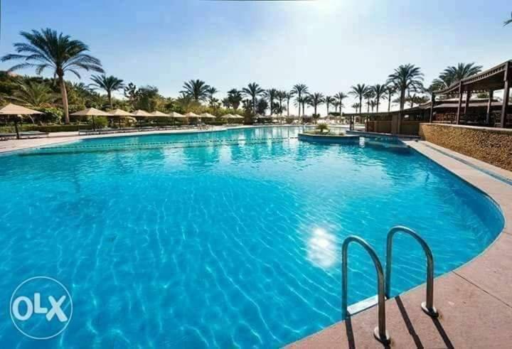 قرية بالميرا السخنه