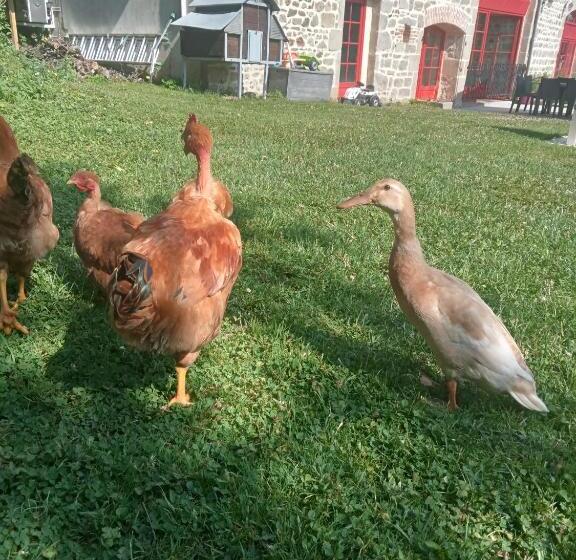 민박 Auverg Nature, Suite Myrtilles