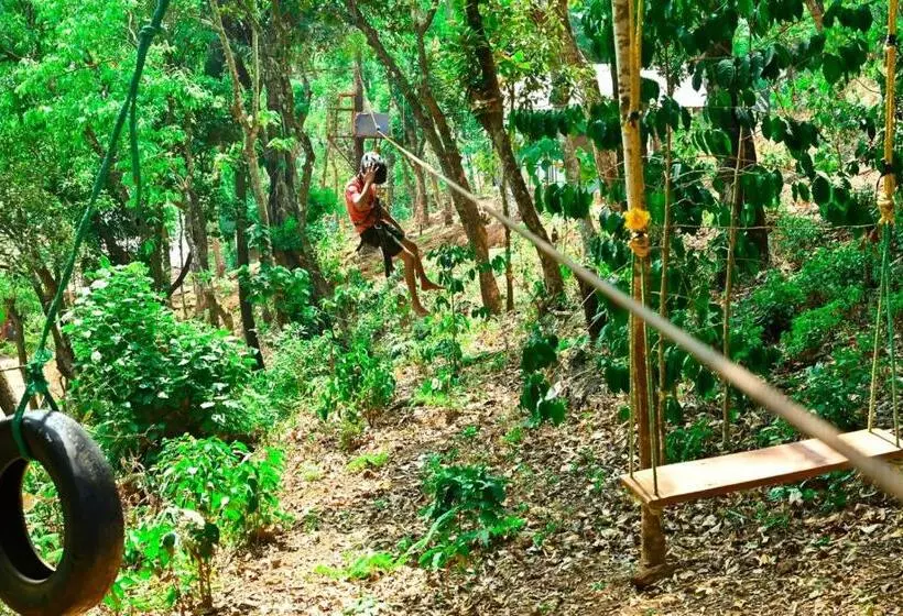 ホテル Jungle Adventure Homestay