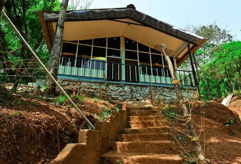 ホテル Jungle Adventure Homestay
