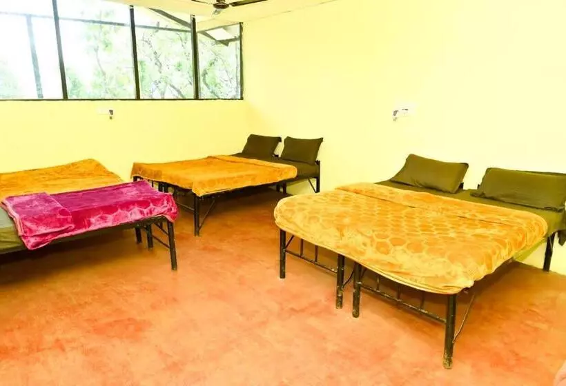 ホテル Jungle Adventure Homestay
