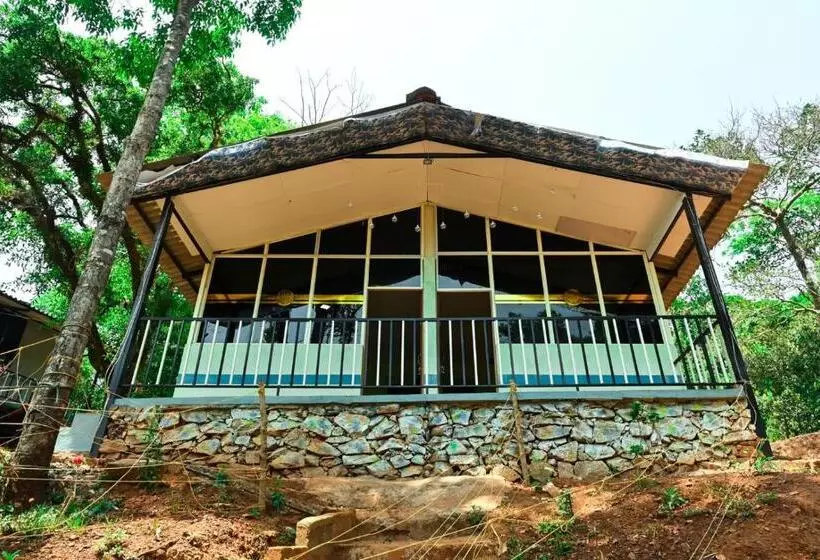 ホテル Jungle Adventure Homestay