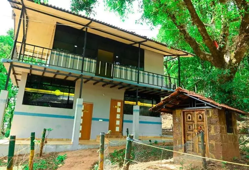 ホテル Jungle Adventure Homestay