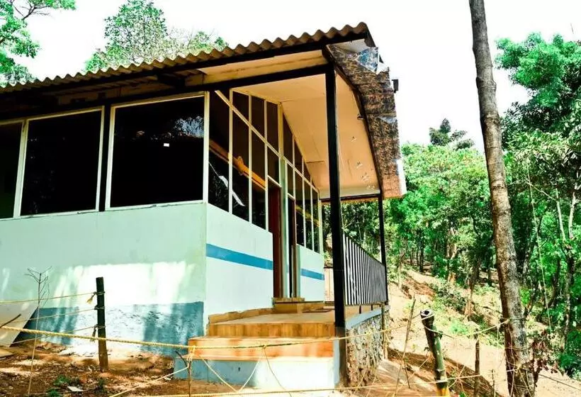 ホテル Jungle Adventure Homestay