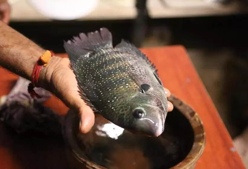 Hotelli Kandal Theeram Farms