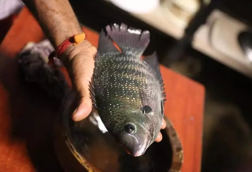 Hotelli Kandal Theeram Farms