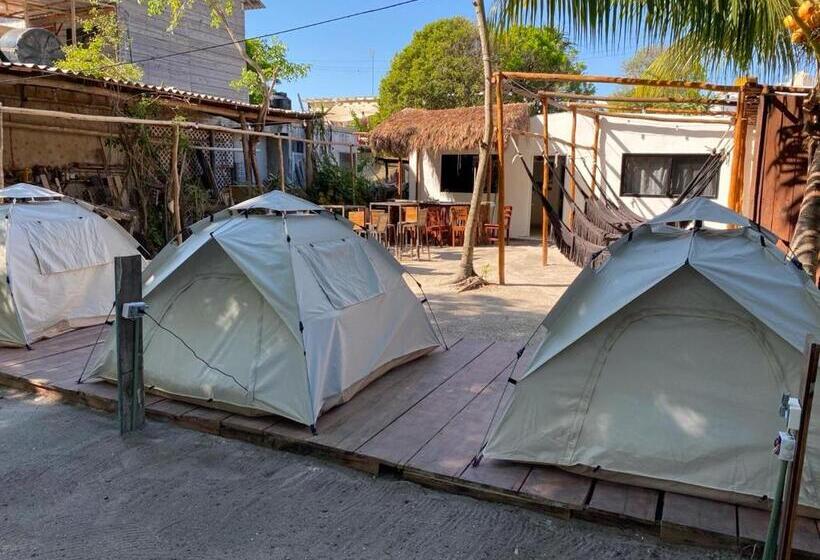 پانسیون Aventura Maya Hostal Y Camping Holbox