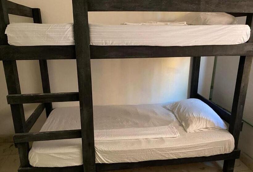 پانسیون Aventura Maya Hostal Y Camping Holbox