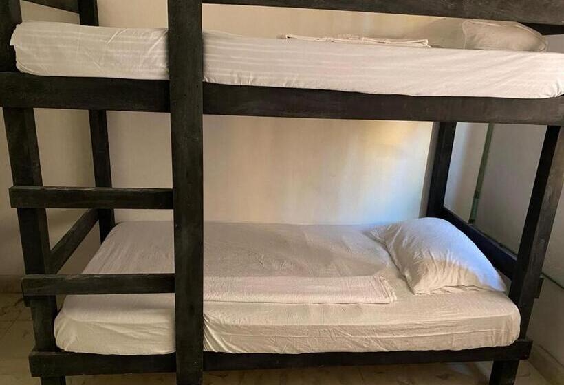 پانسیون Aventura Maya Hostal Y Camping Holbox