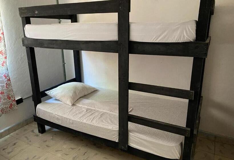 پانسیون Aventura Maya Hostal Y Camping Holbox