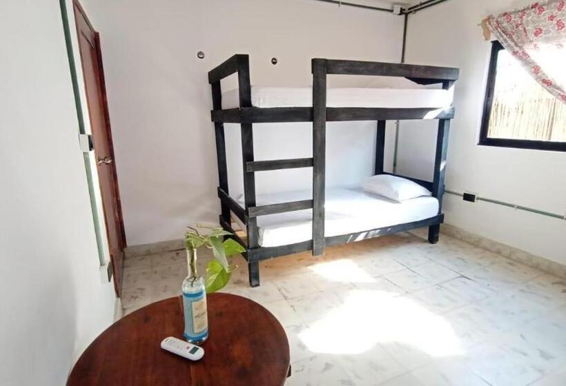 پانسیون Aventura Maya Hostal Y Camping Holbox