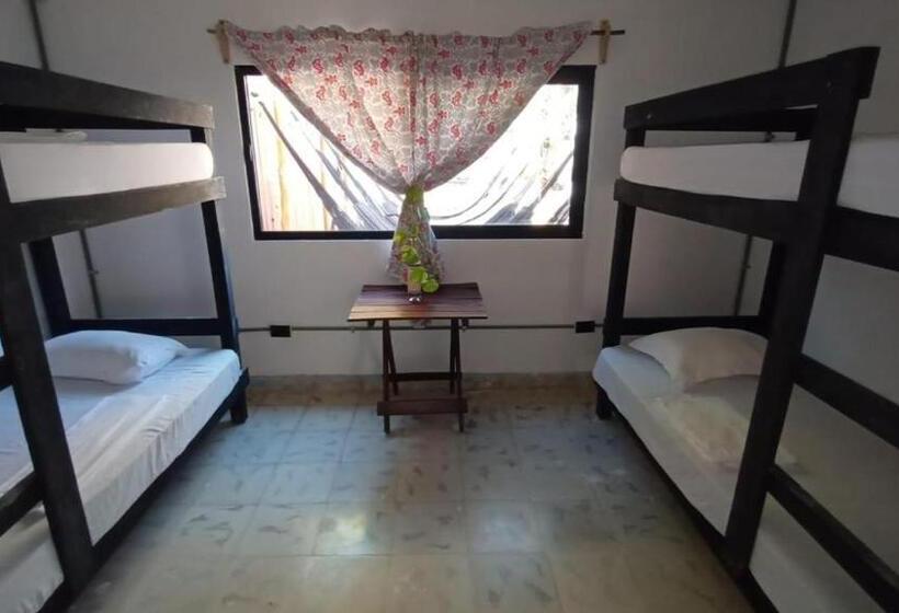 پانسیون Aventura Maya Hostal Y Camping Holbox