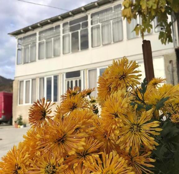 پانسیون Guesthouse _ Daviti