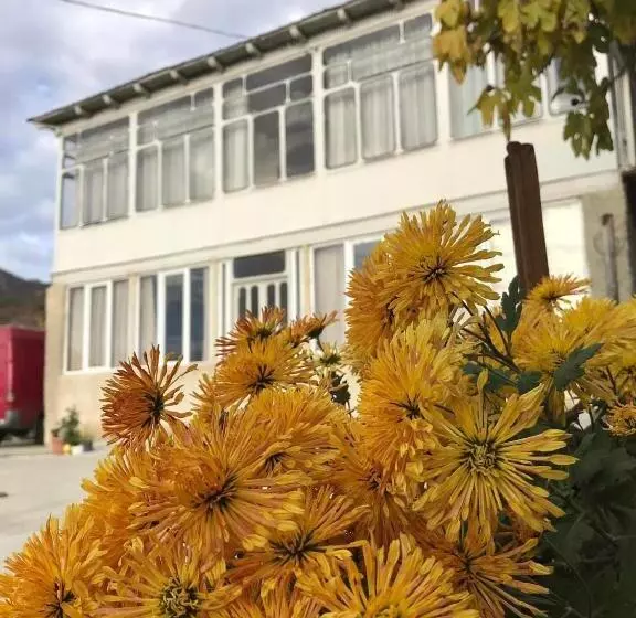پانسیون Guesthouse _ Daviti