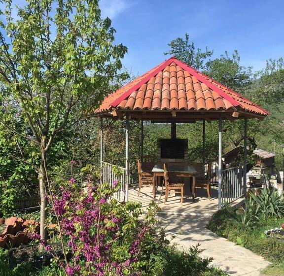 پانسیون Guesthouse _ Daviti