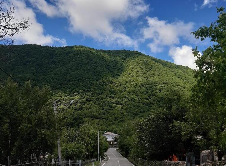 پانسیون Guesthouse _ Daviti