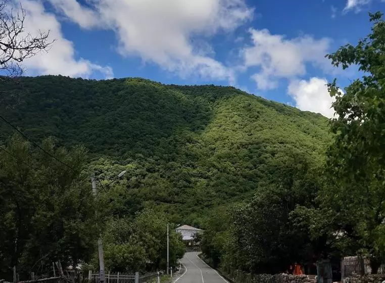 پانسیون Guesthouse _ Daviti