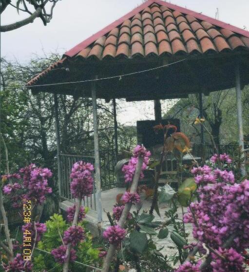 پانسیون Guesthouse _ Daviti