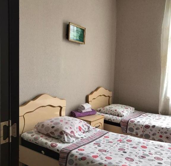 پانسیون Guesthouse _ Daviti